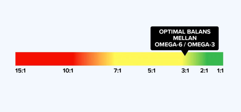 Omega-6/Omega-3-balans